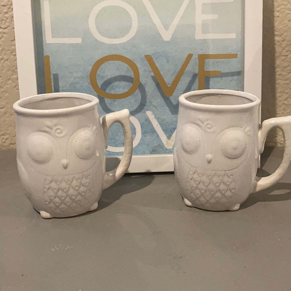 Gibson Home : set of 2 white owl coffee/tea mugs!Kitchen item. Good condition
